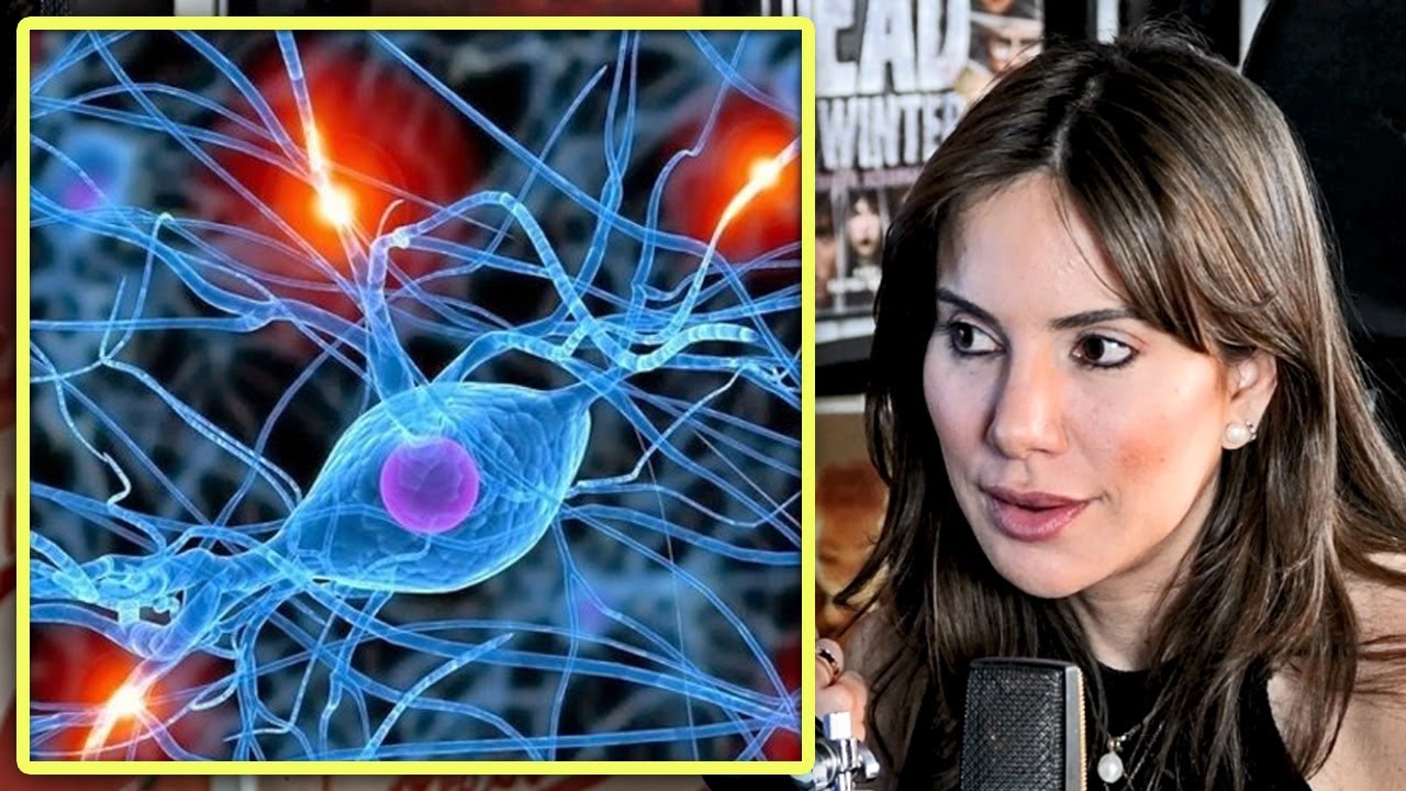 Doctora explica qué son las HORMONAS y cómo regulan nuestra vida por completo