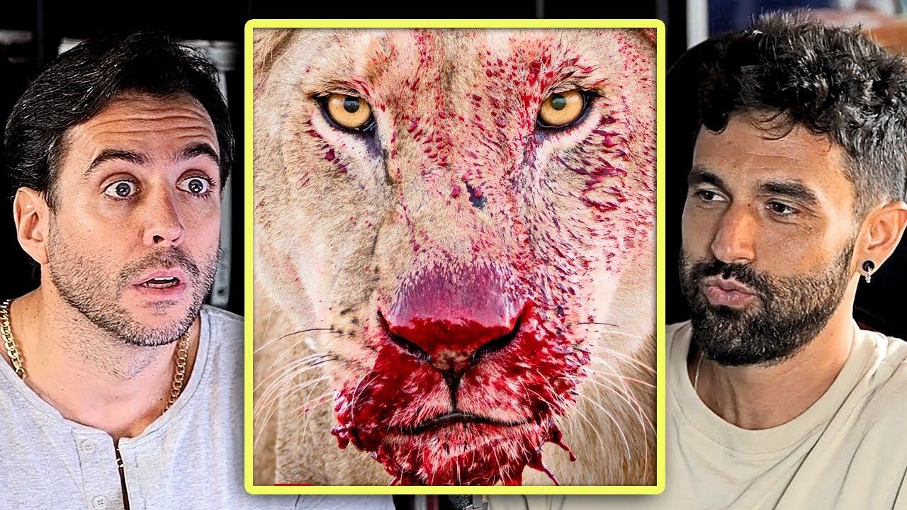 Aventurero explica cómo estuvo a punto de ser devorado por un león y se salvó por segundos
