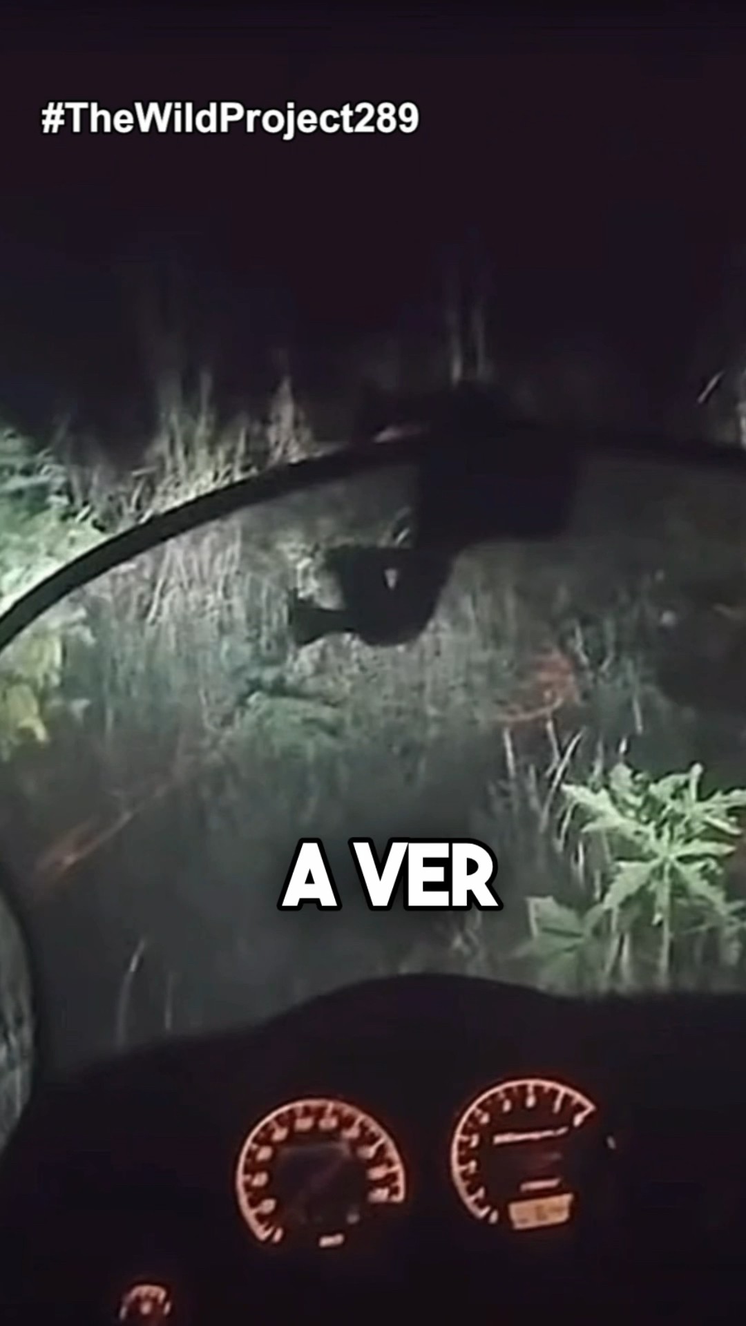 Jordi Wild reacciona al terrorífico video de lo que podría ser un fantasma real…